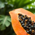 Papaya: co to za marka i co ją wyróżnia na rynku?